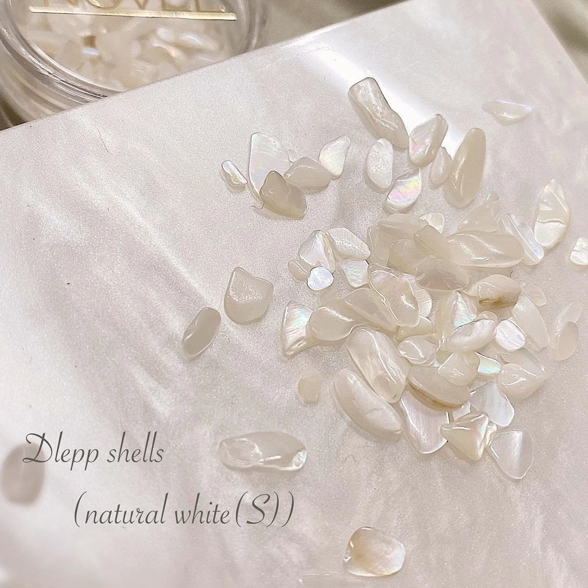 NOVEL（ノヴェル）Dlepp shells natural white（S）
