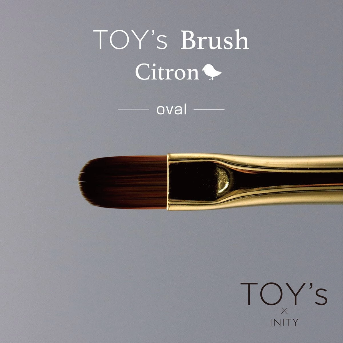 [T-CBR-O] TOY's x Citron Gel Brush Oval