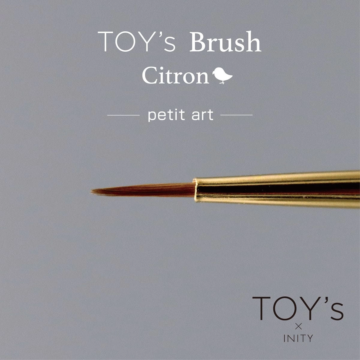 [T-CBR-PAR] TOY's x Citron Gel Brush Petit Art