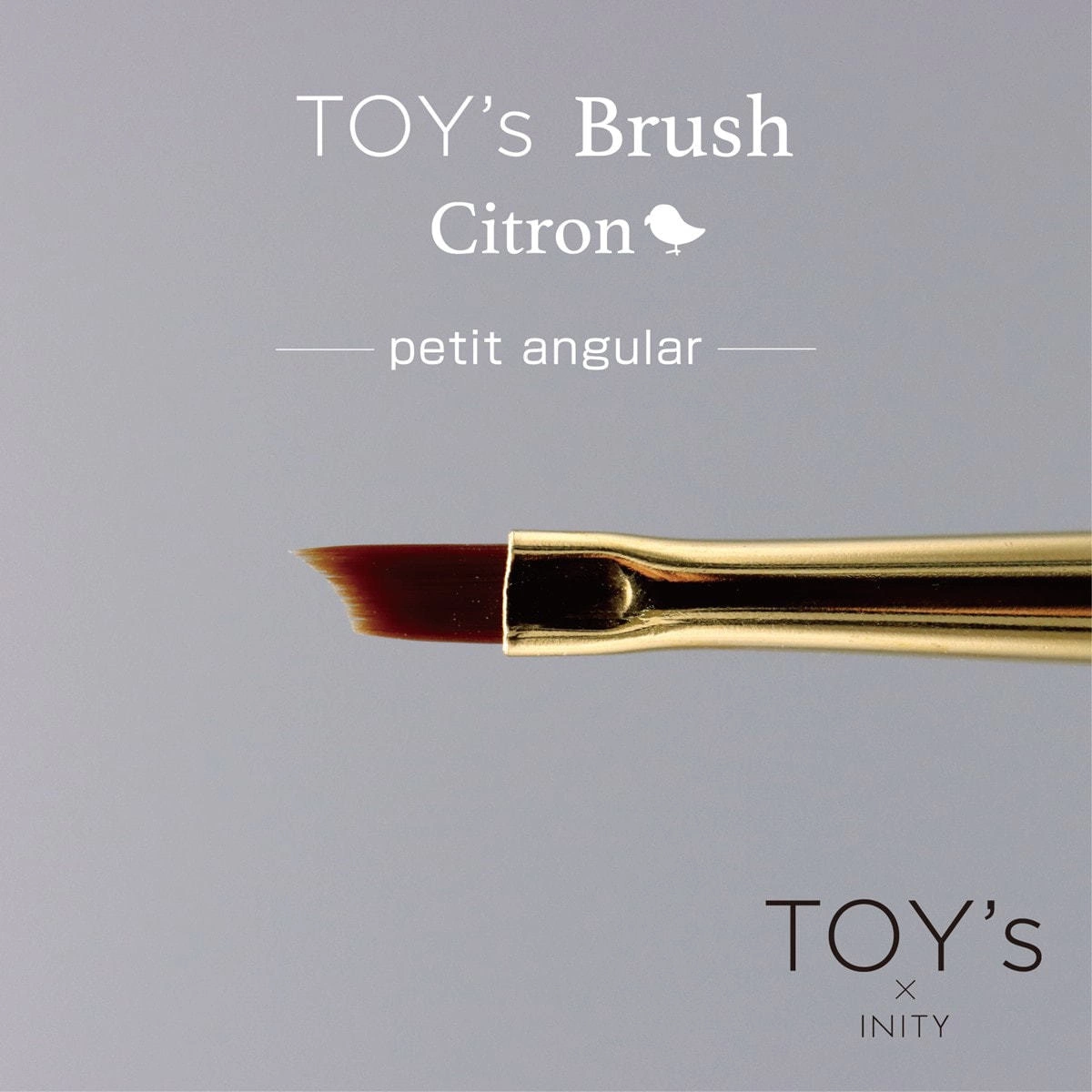 [T-CBR-PAN] TOY's x Citron Gel Brush Petit Angular