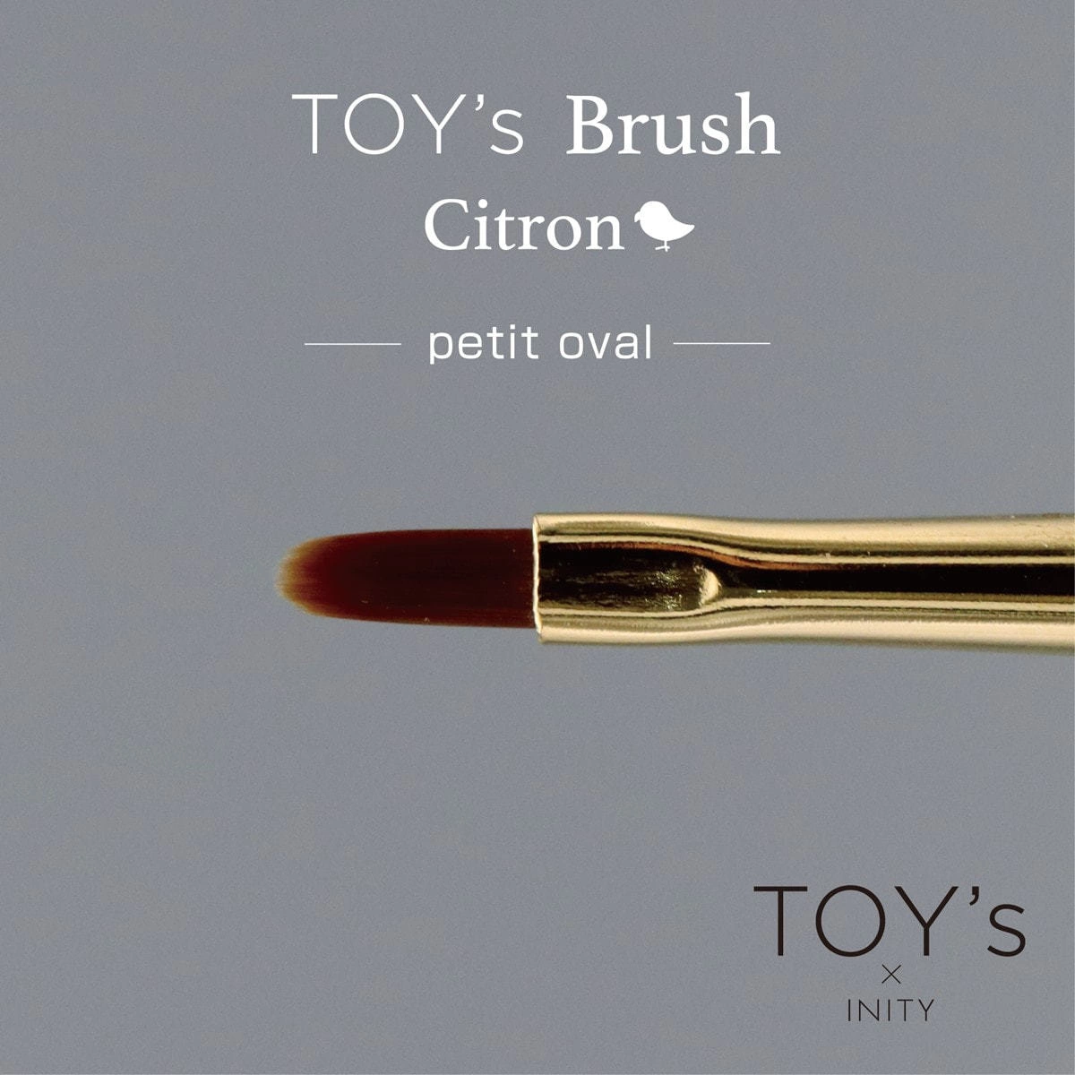 [T-CBR-PO] TOY's x Citron Gel Brush Petit Oval