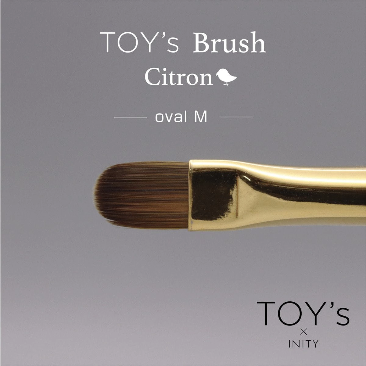 [T-CBR-OM] TOY's x Citron Gel Brush Oval M