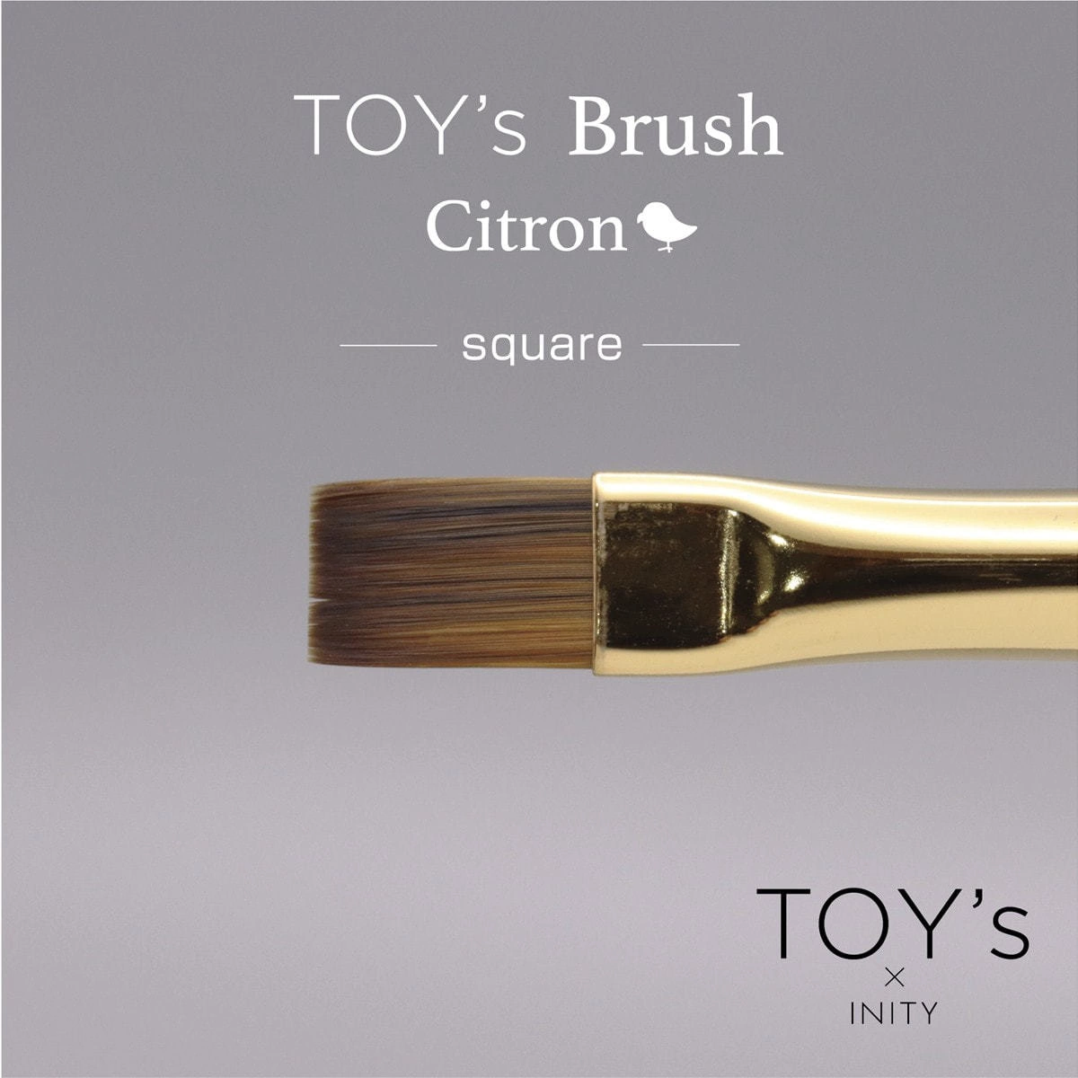 [T-CBR-SQ] TOY's x Citron Gel Brush Square