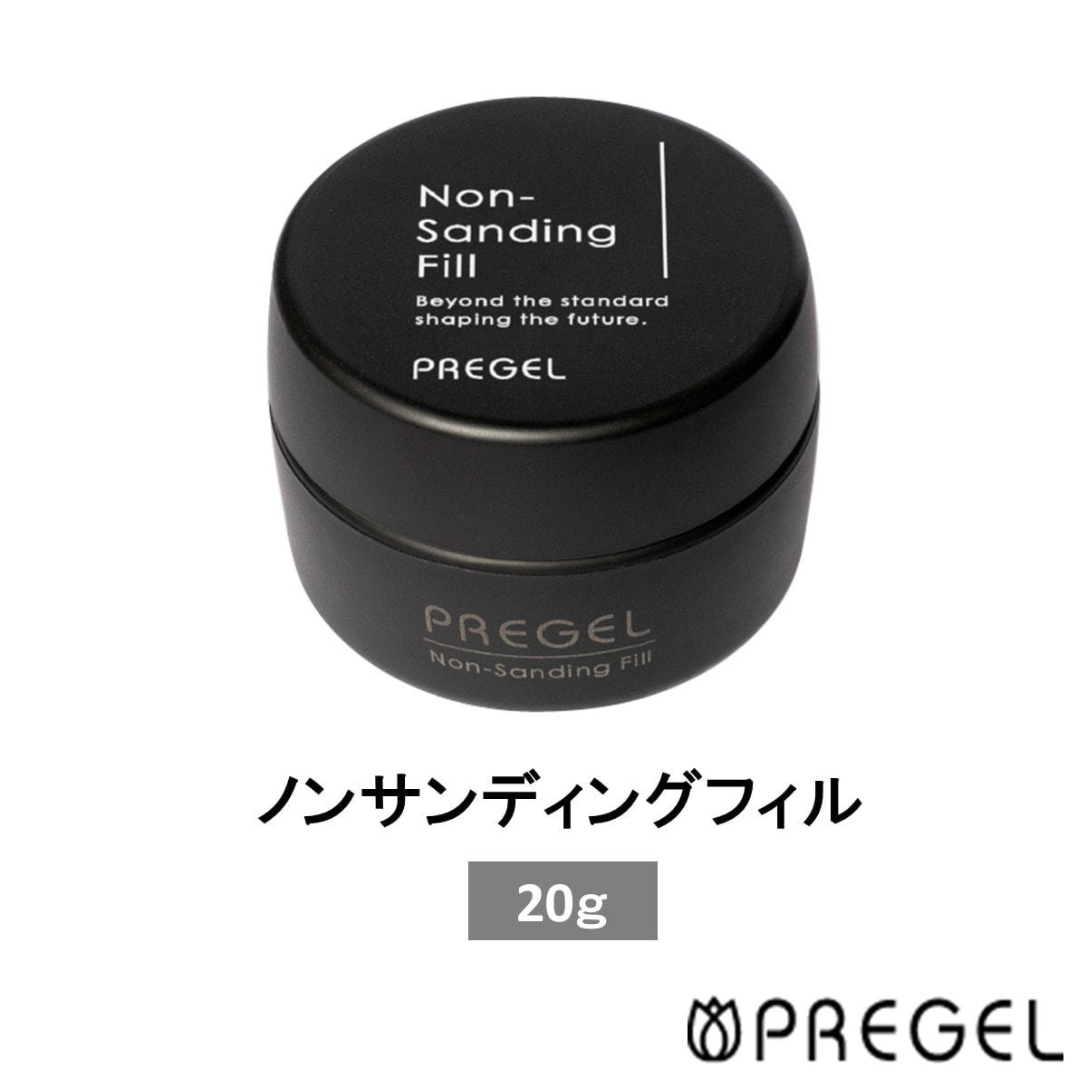 Pregel Non-Sanding Fill (20g) PG-NF-20